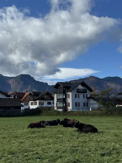 Blick aufs Haus
